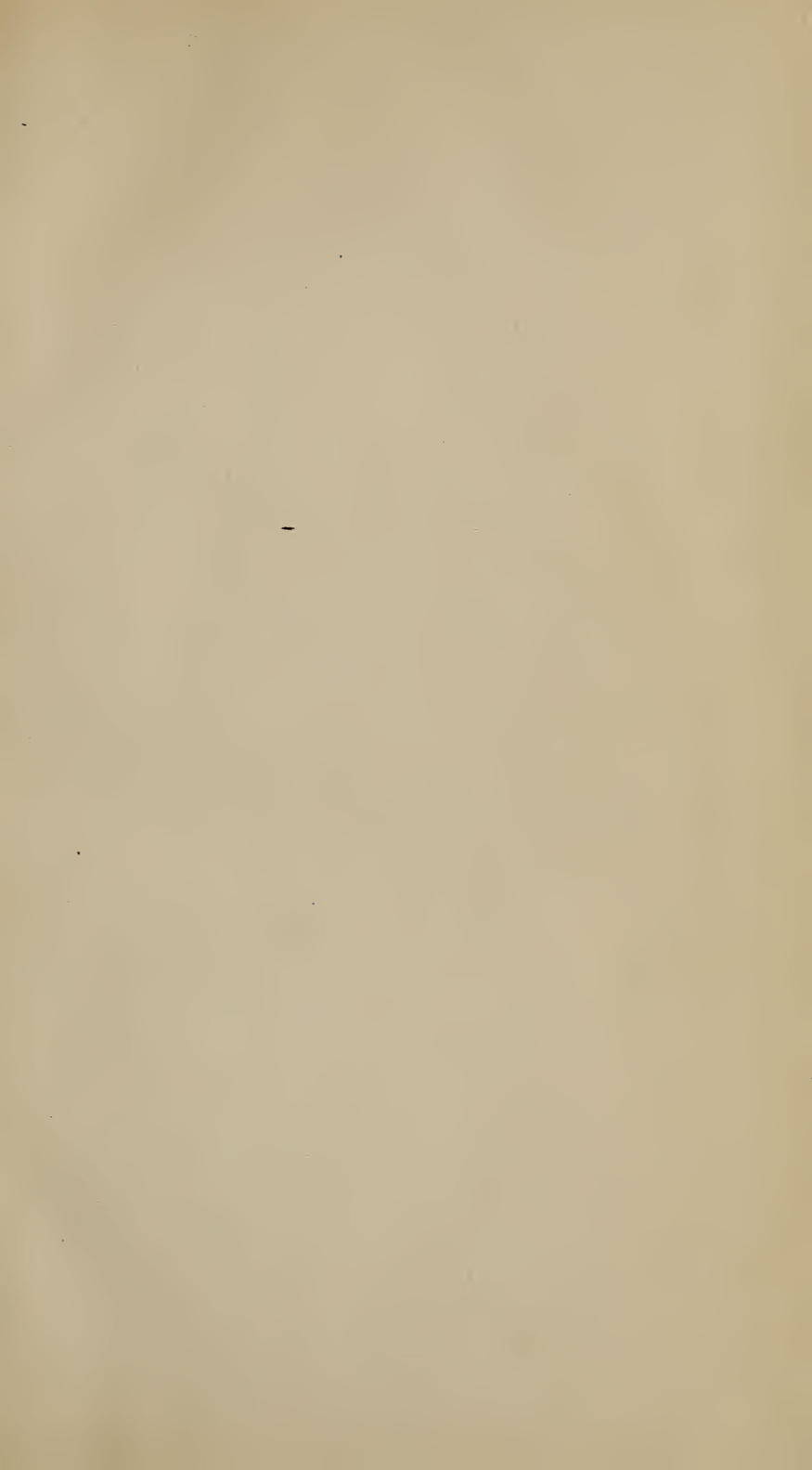 Image of page -4